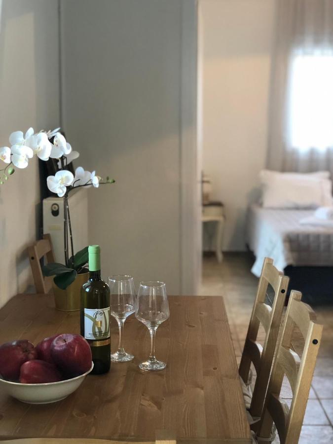 Αgrilitsa House Apartment Vasilítsion Екстериор снимка