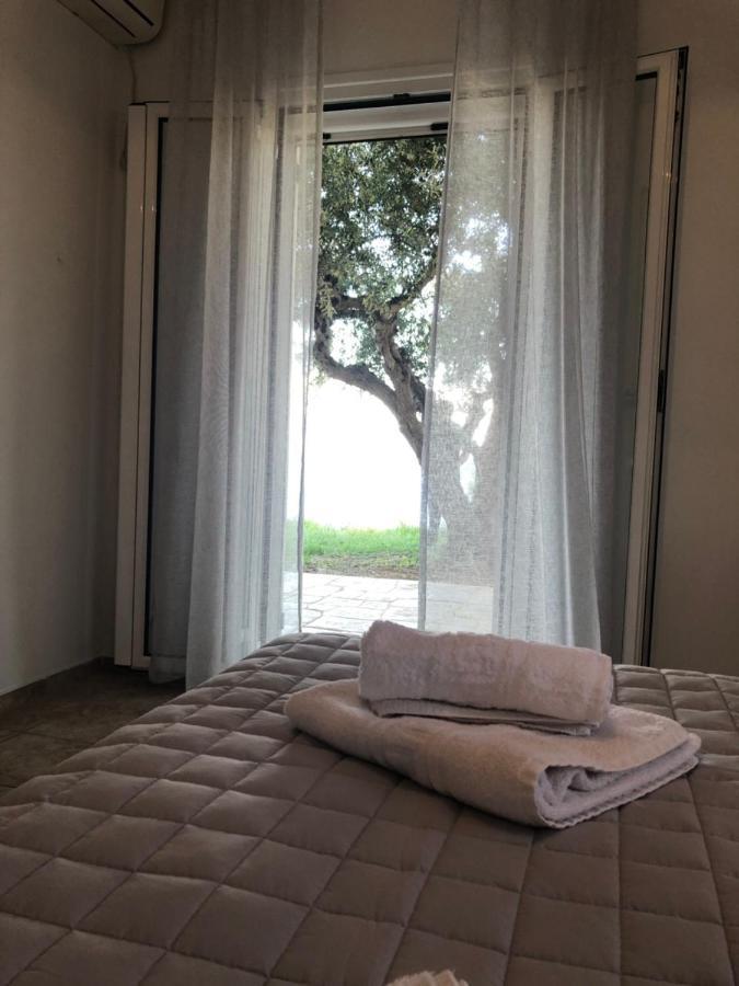 Αgrilitsa House Apartment Vasilítsion Екстериор снимка