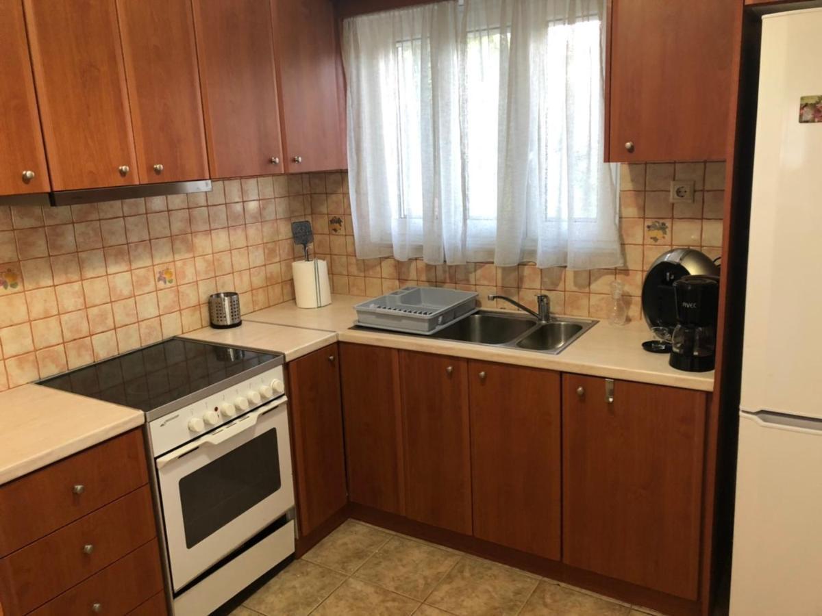 Αgrilitsa House Apartment Vasilítsion Екстериор снимка